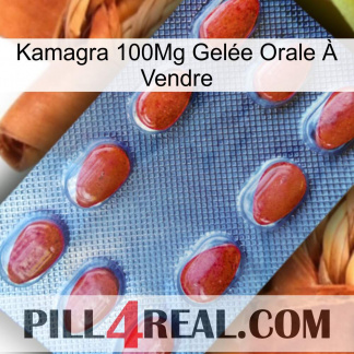 Kamagra 100Mg Gelée Orale À Vendre 06
